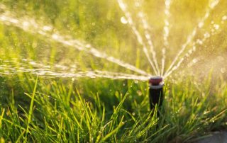 El riego es la clave para cuidar tu césped