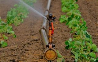 Ventajas de las bombas de agua en la agricultura