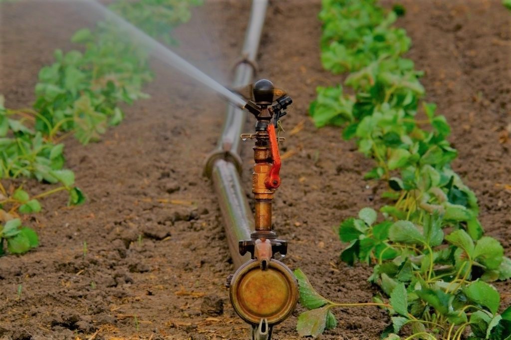 Ventajas de las bombas de agua en la agricultura