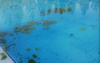 Cómo recuperar tu piscina tras una tormenta