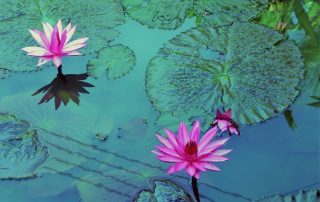 Alternativas para aprovechar tu piscina en invierno