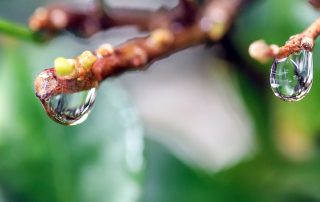 Cómo usar el agua de lluvia recuperada en tu vivienda